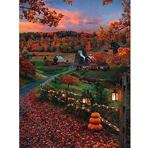 Peinture diamant 5D grand format forêt lumineuse broderie strass haute densité