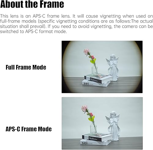 Miniatura 10 de 7Artisans Lente ojo de pez ultra gran angular de 4mm F2.8, lente principal de enfoque manual compatible con cámara sin espejo Sony E Mount A6300