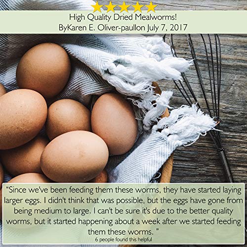 PICKY NEB 100% Non-GMO Dried Mealworms 5 lb - Whole Large Meal Worms Bulk - High-Protein Treats Perfect for Your Chickens, Ducks, Wild Birds