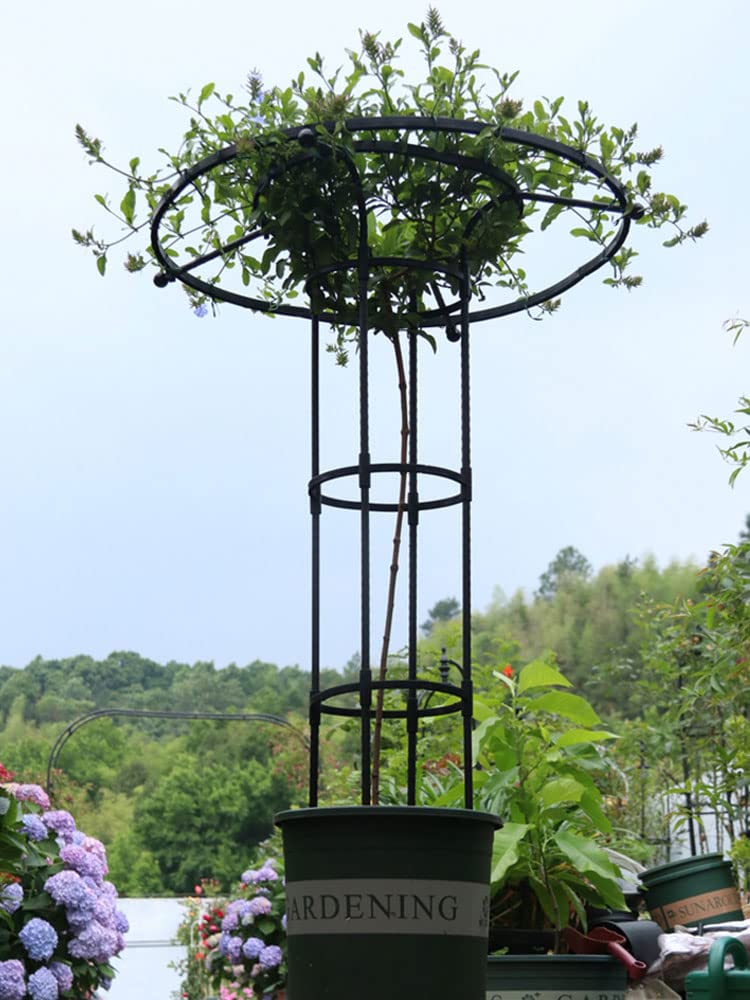 Traliccio da Giardino per Piante Rampicanti, Traliccio da Giardino per Piante Rampicanti da Esterno, Traliccio per Piante in Vaso, Piante da Appartamento, Viti Rampicanti (210 cm)