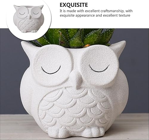 Miniatura 7 de Cabilock Maceta de búho para decoración al aire libre, maceta de cerámica para suculentas, maceta, maceta, maceta, bonsái, macetas, búho, plantas,