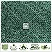 ColourTree 8' x 50' Green Fence Privacy Screen Windscreen Cover Fabric Shade Tarp Netting Mesh Cloth - Commercial Grade 170 GSM - Heavy Duty - 3 Years Warranty (We Make Custom Size)