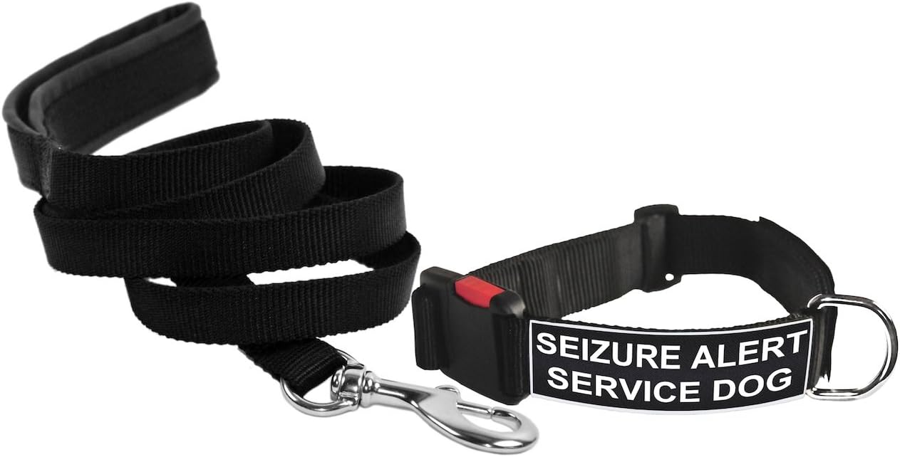 Dean & Tyler Seizure Alert Service Dog 21 by 26-Inch Patch Collar with 6-Feet Stainless Snap Padded Puppy Leash, Medium, Black