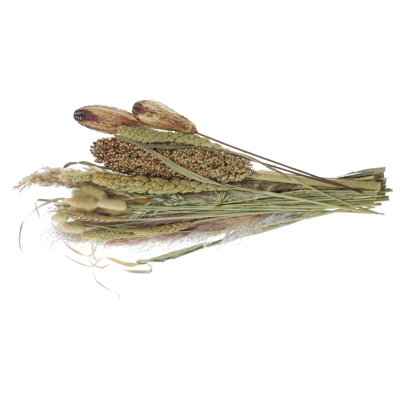 DECHOUS 2pezzi Bundle Di Decorazioni Naturali Pampas e Broomcorn Per Vasi Bouquet Essiccati Per Arredare Casa e Eventi Speciali Atmosfera Bohemien e Nordic