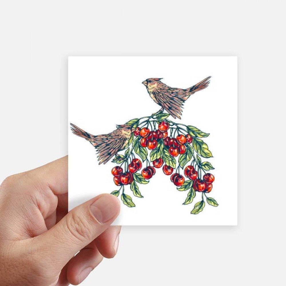 Autocollant carré Oiseau Fruit DIYthinker 10cm déco mur et PC portable 8pcs