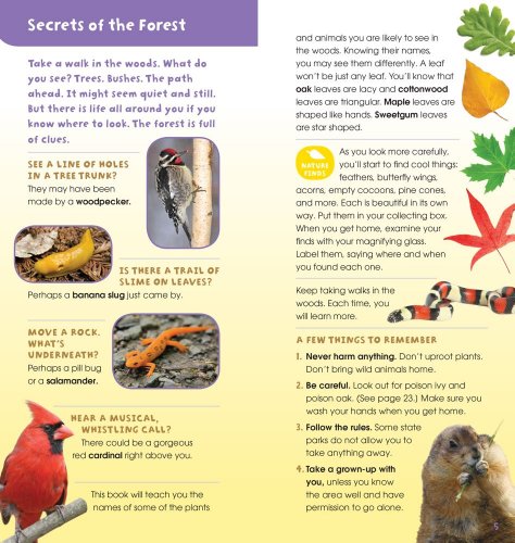 A Walk in the Woods: Into the Field Guide - Image 5