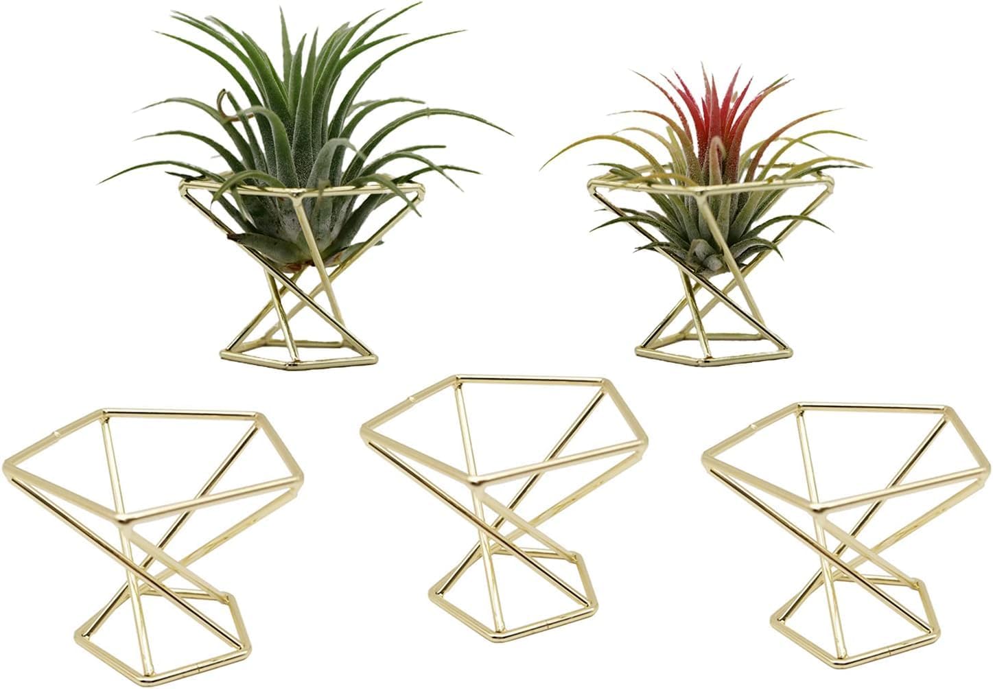 Geometric Air Plant Holder Airplants Rack Metal Plants Stand Planter Shelves Himmeli Living Decor Tillandsia Pot Containers (Gold 5 pcs)
