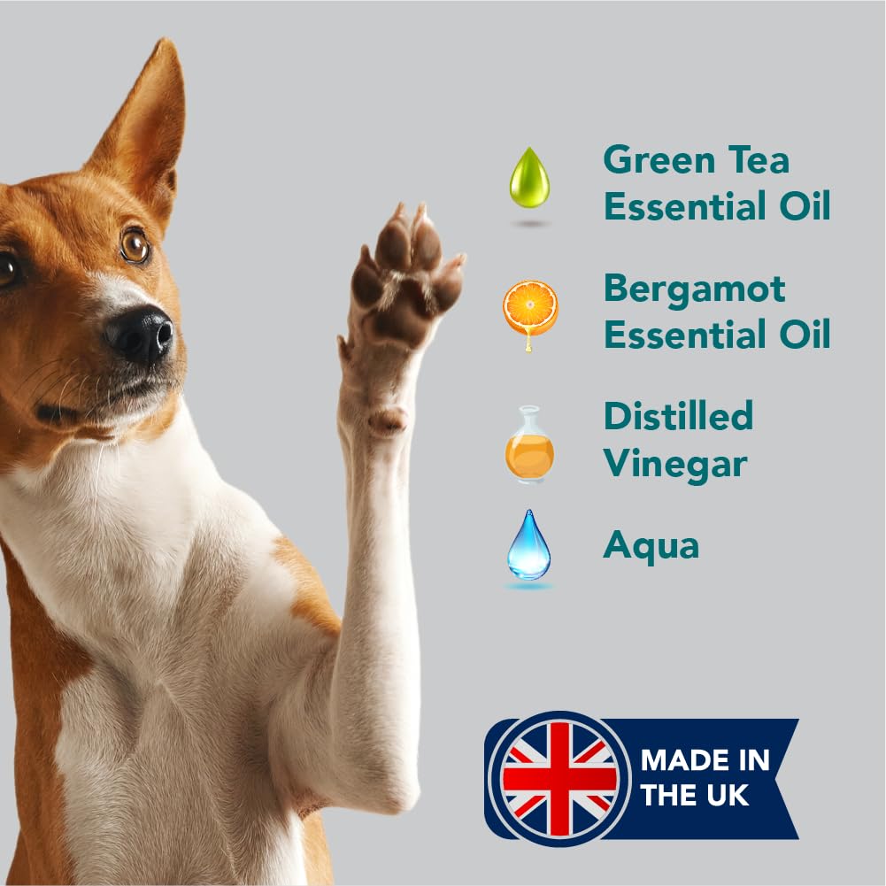 The Healthy Dog Co Eliminador de Manchas y olores de Mascotas Totalmente Natural para Perros y Gatos | Mata gérmenes, Elimina vómitos, orina, heces, Baba, olores | 1 litro