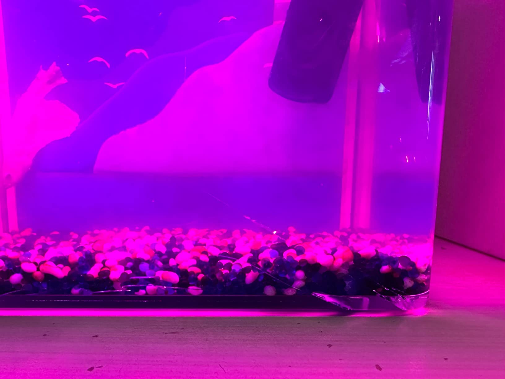 8/mo Finance ERAARK Smart Aquarium kit 1.5 Gallon Betta Fish Tank