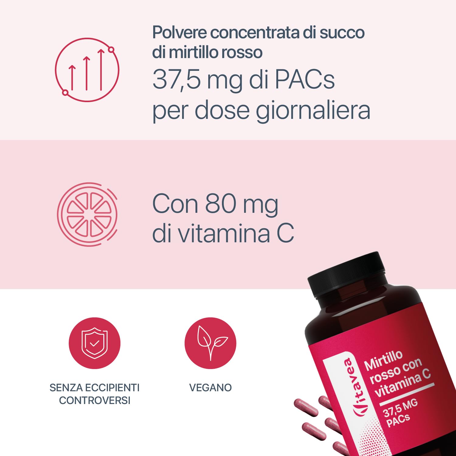 Mirtillo Rosso con Vitamina C – 1250 mg di succo di mirtillo rosso in polvere al giorno – 37,5 mg PAC – 180 capsule vegane – Senza additivi inutili – Vitavea