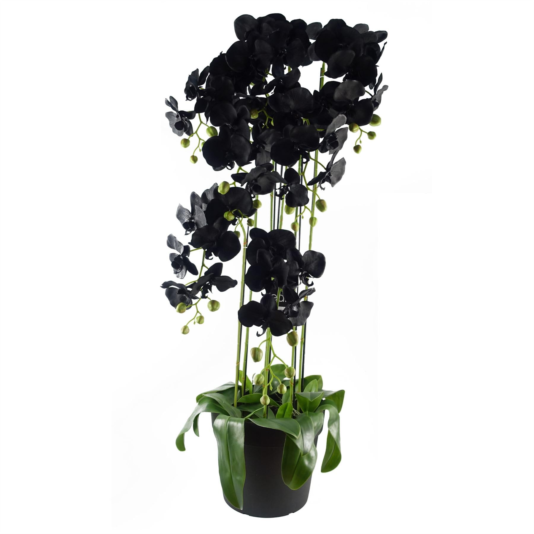 Realistic Artificial Orchid Plants Fully Potted