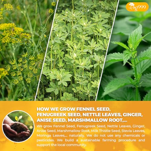 Image of TOG999 Premium 30 Tea Bags Lactation Support Tea, Breastfeeding Blend for Nursing Moms & Postpartum Wellness, with Fenugreek, Fennel, Nettle, Milk Thistle, Moringa, 100% Natural, Caffeine Free, NonGMO