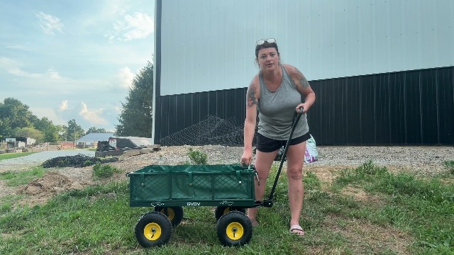 Amazon.com : GVDV 660LB Garden Cart with Liner, Heavy Duty Steel