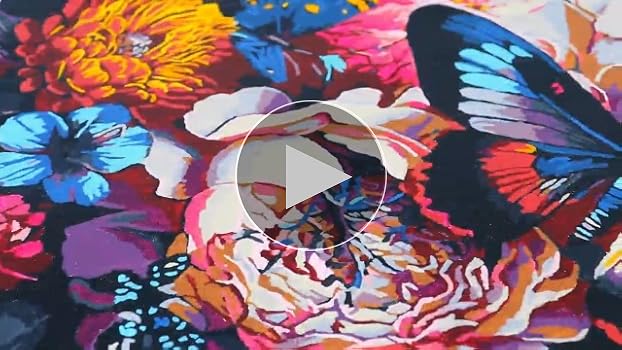 Amazon.com: bleihum Butterfly Paint by Numbers Kit for