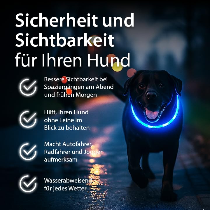 PetSol LED-Hundehalsband in Blau – wiederaufladbares USB-Sicherheitshalsband mit blinkendem Licht für Hunde, Katzen und Welpen – Größe S, M und L – modisches, im Dunkeln leuchtendes Design