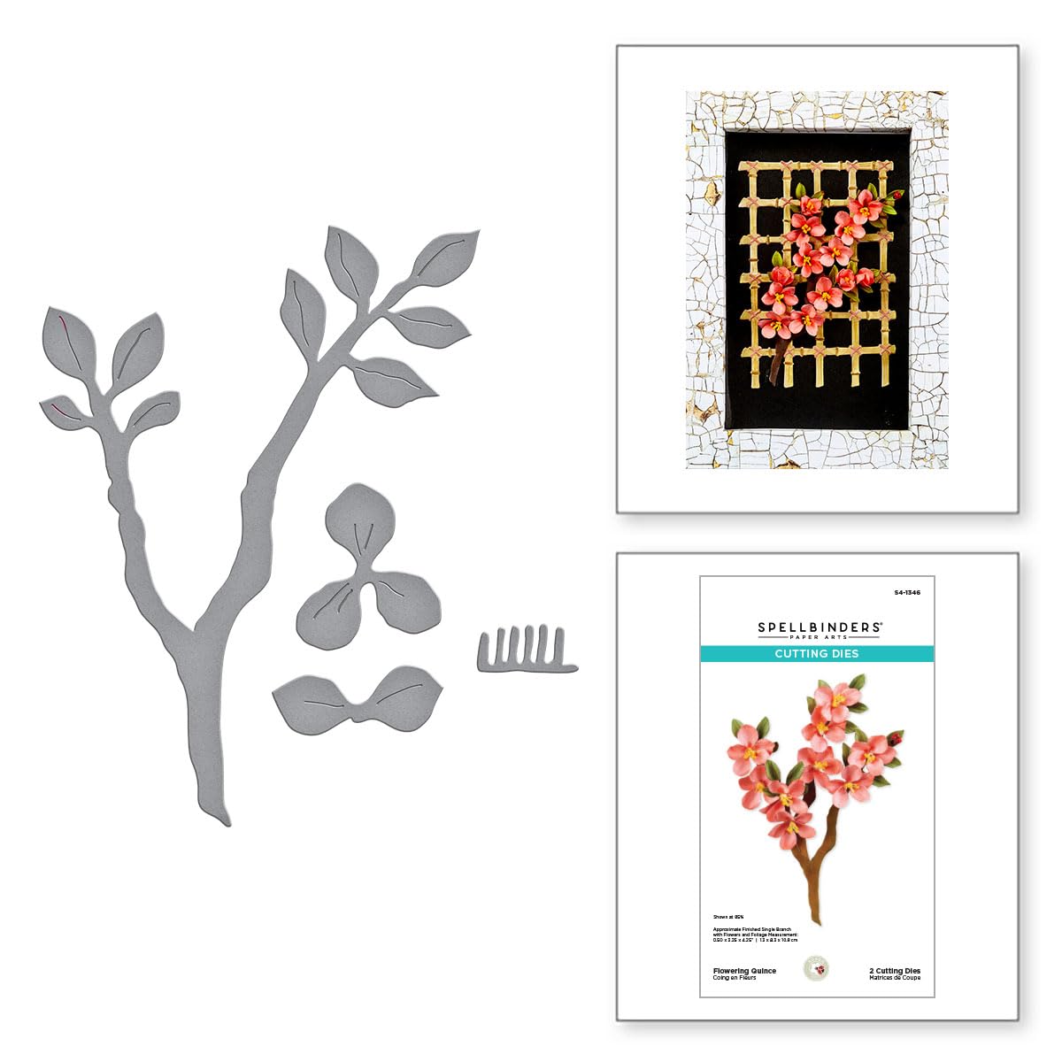 Spellbinders Susan Tierney-Cockburn BD-0865 Nature's Botanical Garden Stanzschablonen-Set aus der Nature's Botanical Garden Kollektion