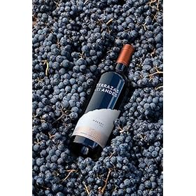 Terrazas de los Andes Malbec , 75cl