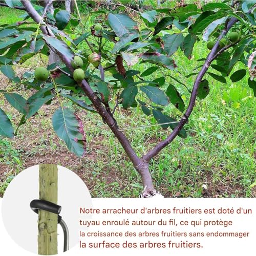 Outil de cintrage robuste pour aide à la maintenance en paysagisme - 8
