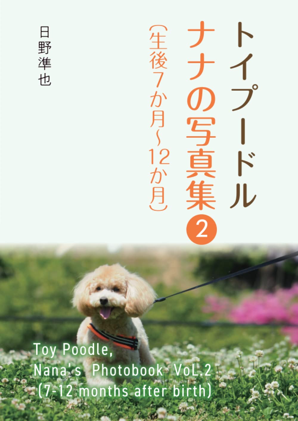 Amazon.co.jp: トイプードル ナナの写真集-2（生後7か月～12か月