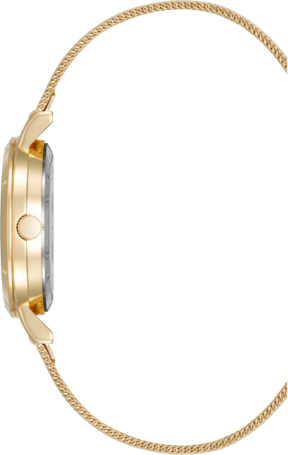 Anne Klein Women's Genuine Diamond Dial Mesh Bracelet Watch, AK/5078