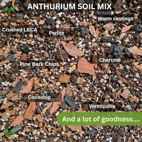 Image of Anthurium Soil Mix (900G), Ideal Soilmix for Anthuriums, 100% Natural and Organic, Ideal Potmix, Potting Mixture, Aroid Potting Mix, Ready to Use, Well Drained Mix (900 gram)