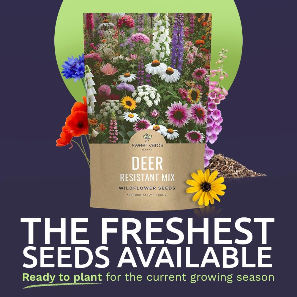 Deer Resistant Wildflower Seed Mixture - Bulk 1 Pound Bag - Over 240,000 Deer Tolerant Seeds - Open Pollinated and Non GMO