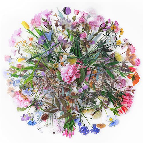 NogaMoga 240PCS Pegatinas de Flores, Decorativas Transparentes, 6 Temas de la Naturaleza, para Bullet Journal, Scrapbooking, Manualidades, Álbumes, Artes