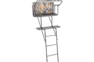 Guide Gear 16.5' 2-Man Ladder Tree Stand: Affordable Hunting Companion