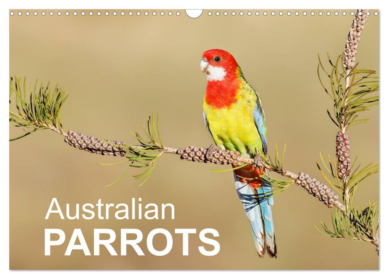 Australian Parrots (Wall Calendar 2026 DIN A3 landscape), CALVENDO 12 Month Wall Calendar: Beautiful photographs of Australian Parrots