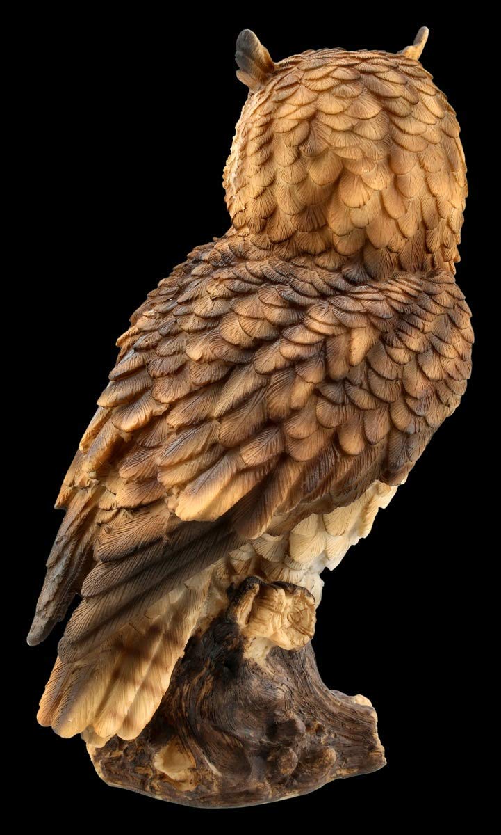 Figuren shop gmbh Gufi Statuetta - Gufo Comune Grande Vogel-Figur, Figura-Decorativa, Articolo Decorazione, Statua, Scultura, H 26 CM