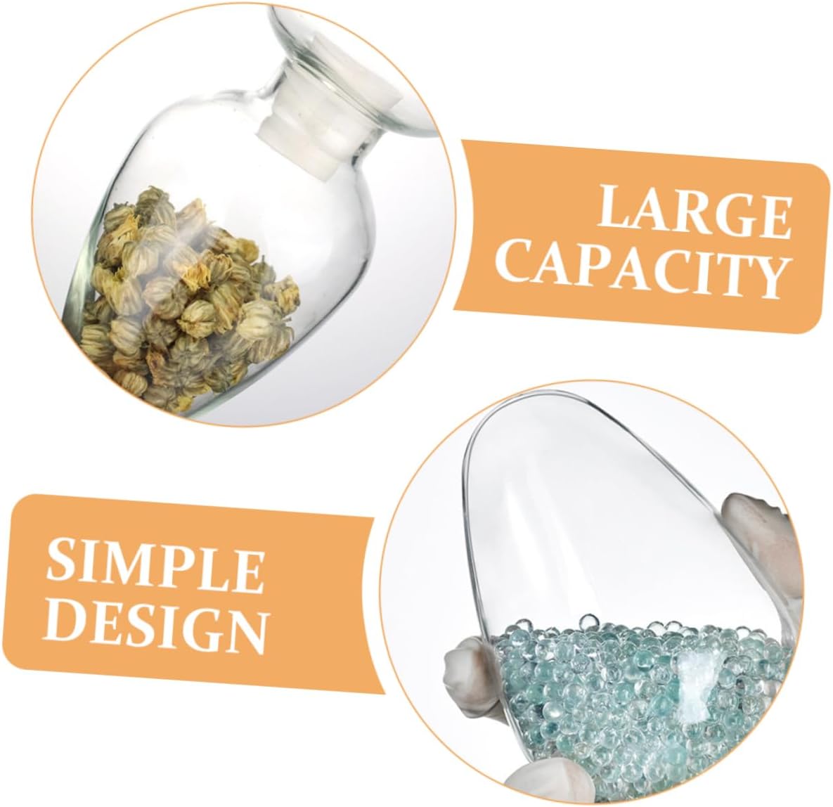 Glass Sample Bottle Stopper Glass Storage Jar for Displaying Specimens and Functional Seed Bottle for Home and Laboratory Use