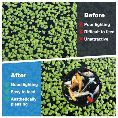 Image of PAGOW 10pcs Fish Feeding Rings Set, Floating Aquarium Plant Corral, Round & Square Fish Feeder Rings for Fish Tank, Floating Plant Ring, Fish Tank Aquarium Accessories for Betta (Black)