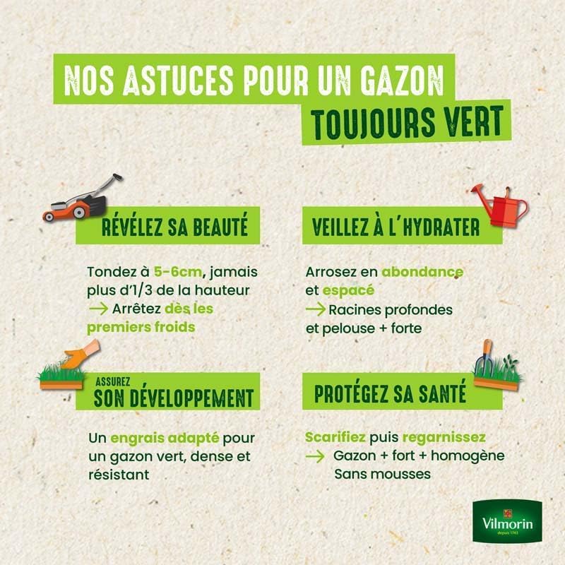 VILMORIN Semences de gazon rustique pour terrain sec - 10 kg - Jardin VILMORIN Semences de gazon rustique pour terrain sec - 10 kg - Jardin
