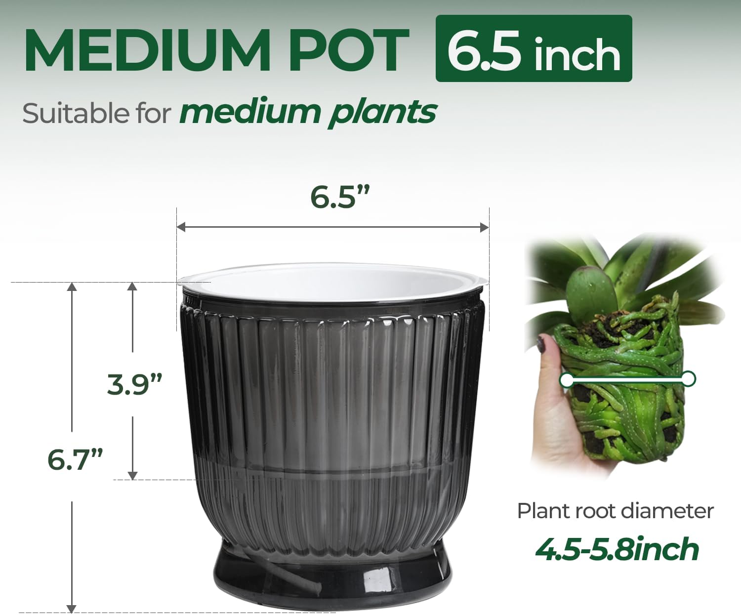 T4U 6 Inch Self Watering Pots for Indoor Plants, 4 Pack Self Watering Planter, Self Watering Pot with Reservoir, Small Self Watering Pots for Plants, African Violets (4 Pack, 6", Translucent Gray) - Image 2