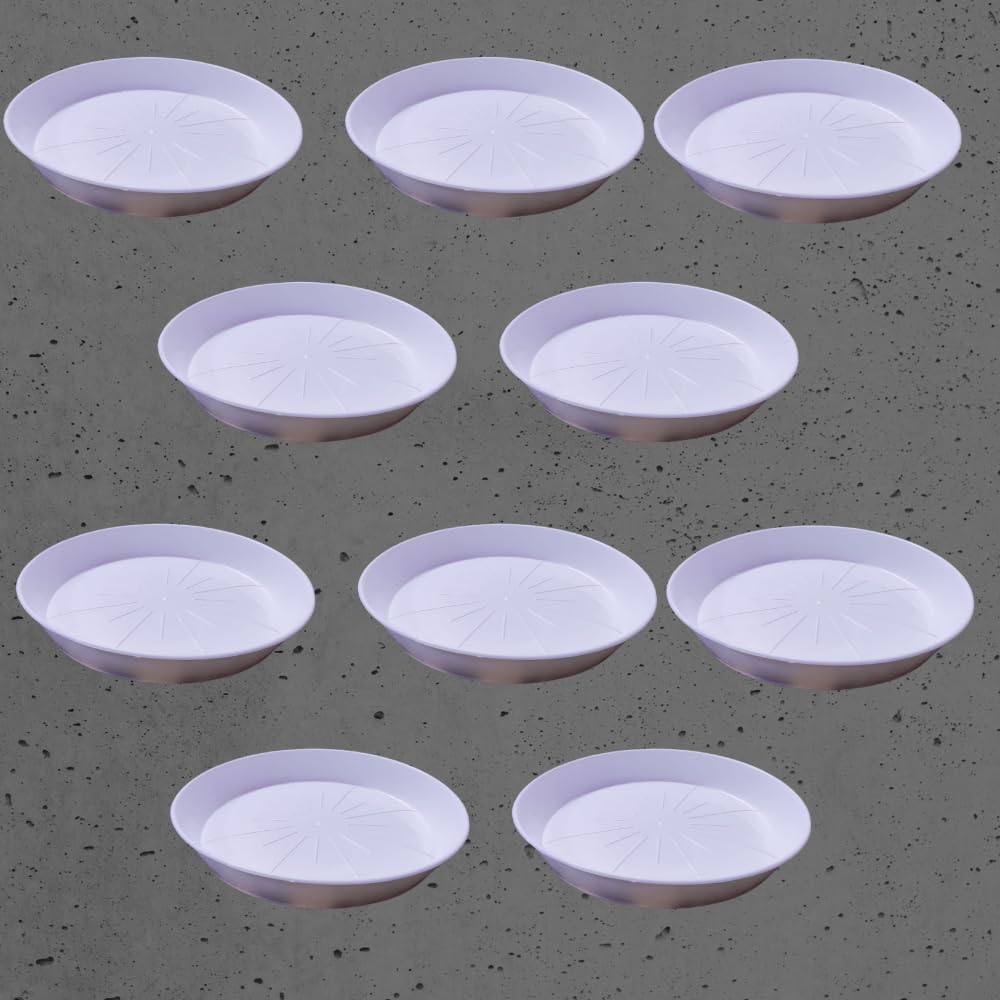 BHAJANLAL GREENERY Plastic Bottom Tray Plate Suitable for 10 inch, 12 inch, Round Plastic Pot, Set of 10 Pieces (White) (B09ZBGJRC7) Amazon Price History, Amazon Price Tracker