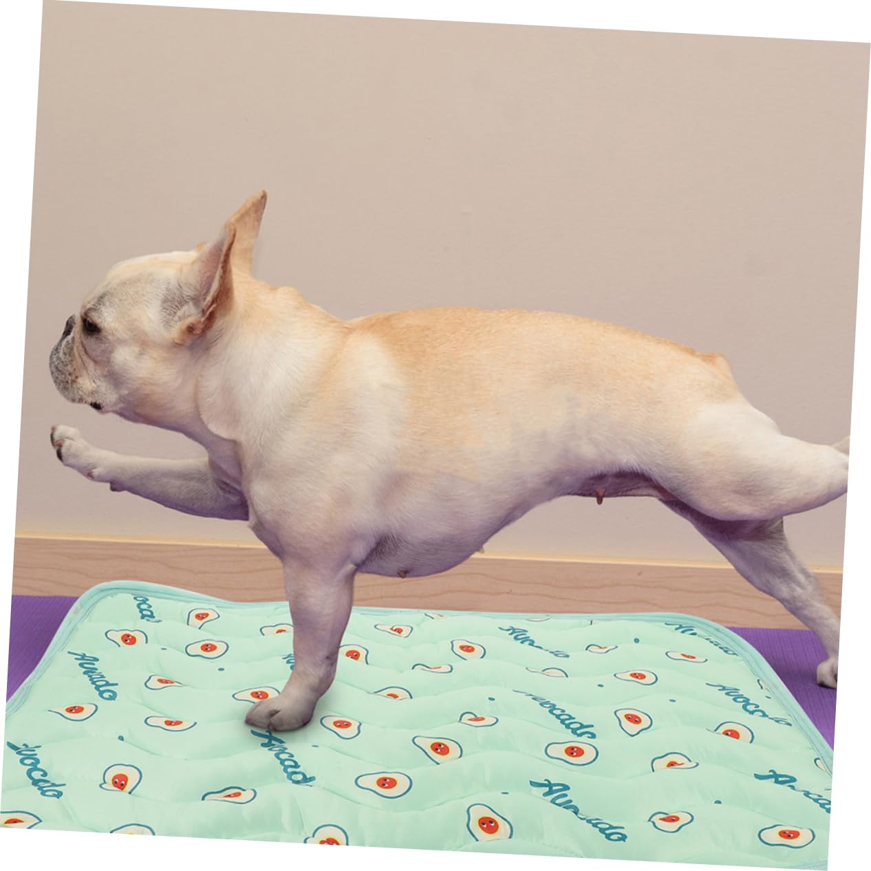 POPETPOP 6piezas Alfombrilla Higiénica para Perros Reutilizable y Lavable Empapador Absorbente para Cachorros Aguacate para Entrenamiento y Uso Interiores