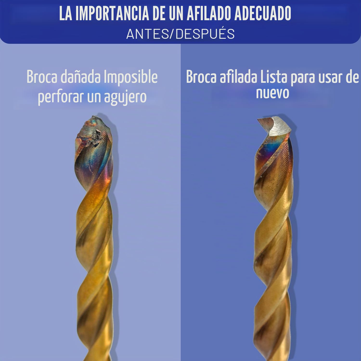 Tivoly Drill Doctor 750 - Afiladora de brocas (de 2,5 a 19 mm, punta 118º y 135º)