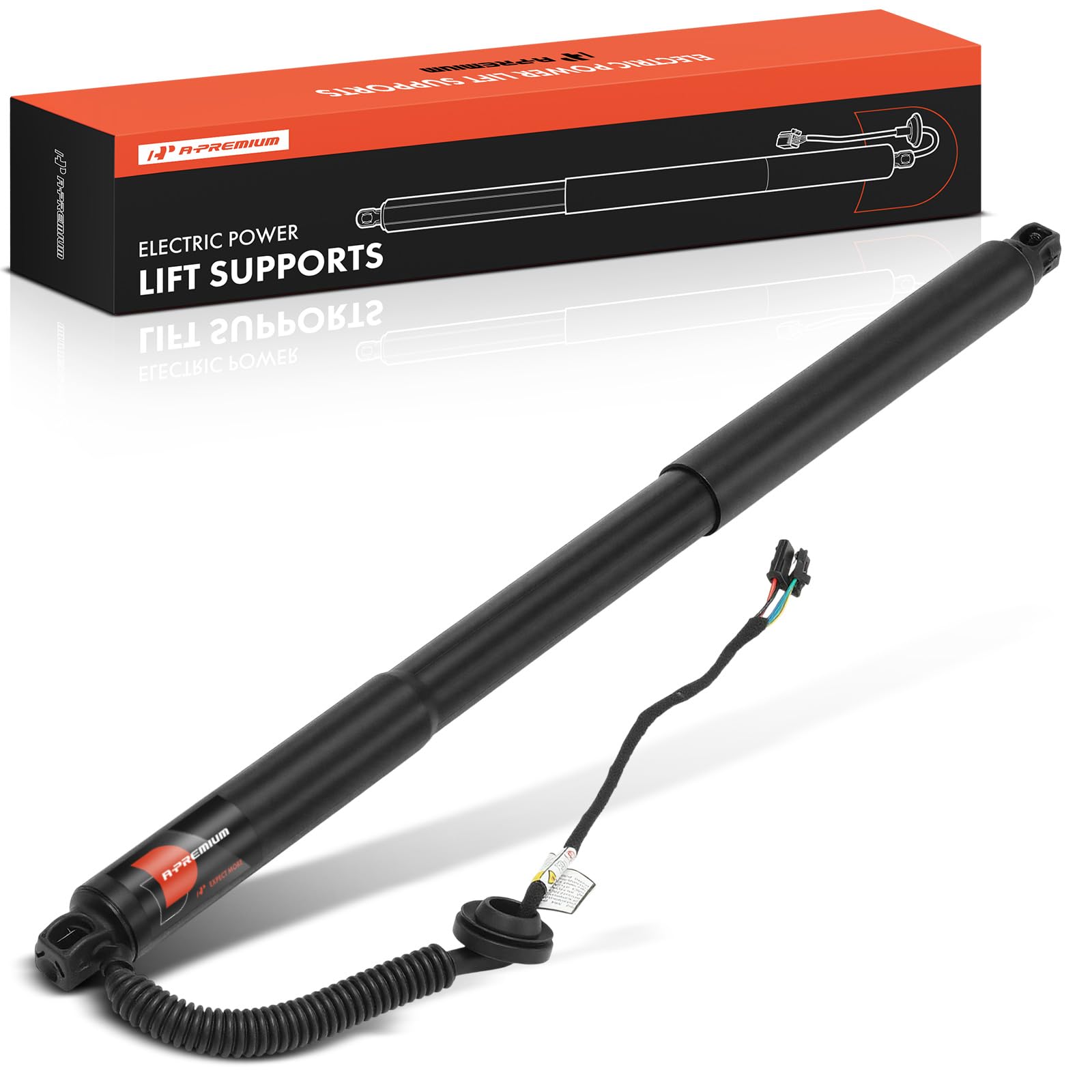 Amazon.com: A-Premium Rear Left Power Lift Support Shock Strut