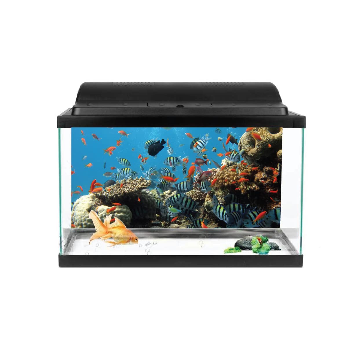 VVWV® Aquarium Background colourfull Stickers for Fish Tank Waterproof Vinyl Printed Multicolored Fish Sticker (76 X 46 CMS) (B0BWJRJ8VW) Amazon Price History, Amazon Price Tracker