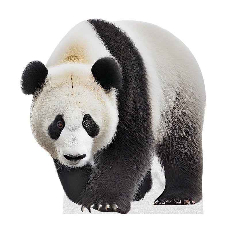 Panda - Life Size Cardboard Cutout Standup People with Support Standee | Animals -