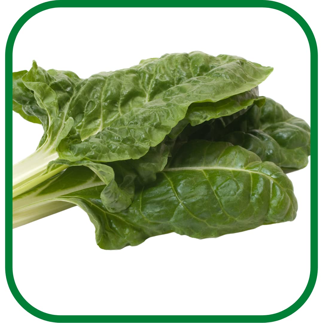 Farmgokart ~ Swiss Chard Green Leafy Vegetable Planting Seeds – ideal for both home gardening and farming | Includes 2 Packets (Each with 3 Gms -200 Seeds, Total 6 Gms in 2 Packets)