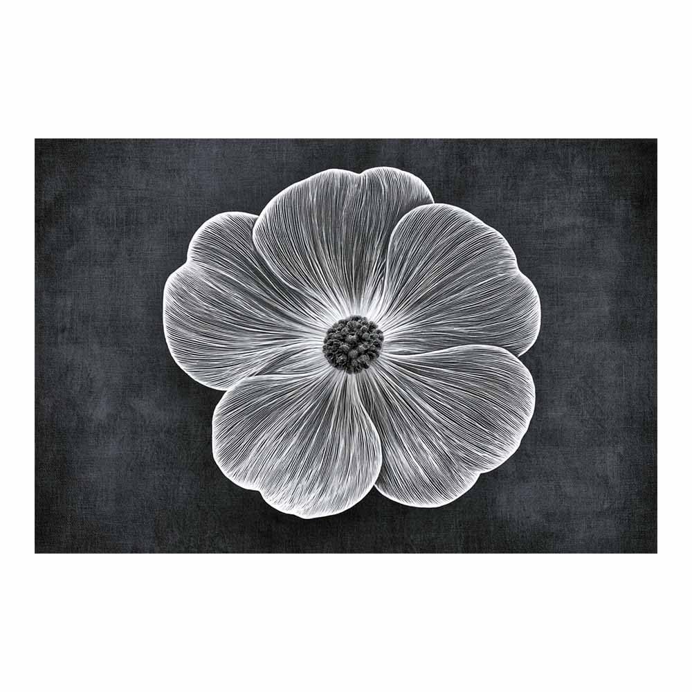 HOQIU Black And White Prints Black Whites Poppy Art prints for walls, canvas wall art, for Living Room Bedroom Bathroom Home Office Wall Decoration(Multicolor)-80x120cm Unframed