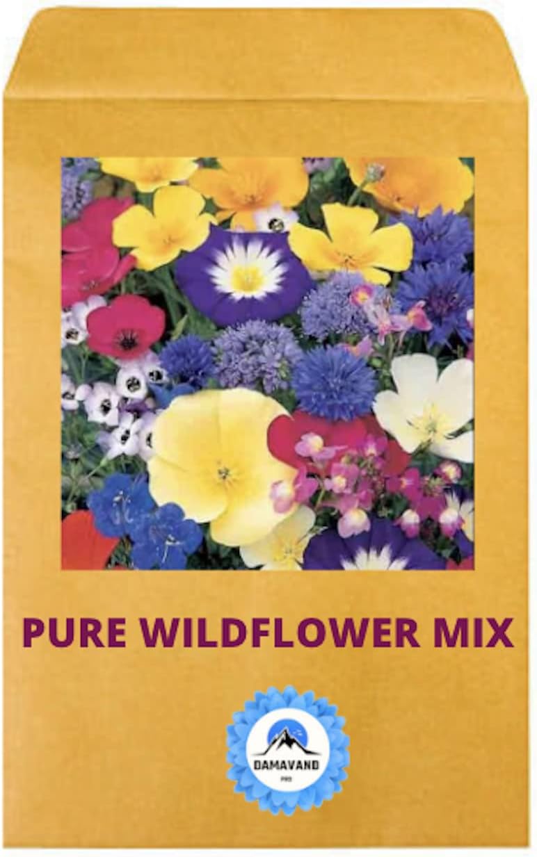 Wild Flowers Seeds UK to Scatter Mix UK Garden Best Seeds for Bees and