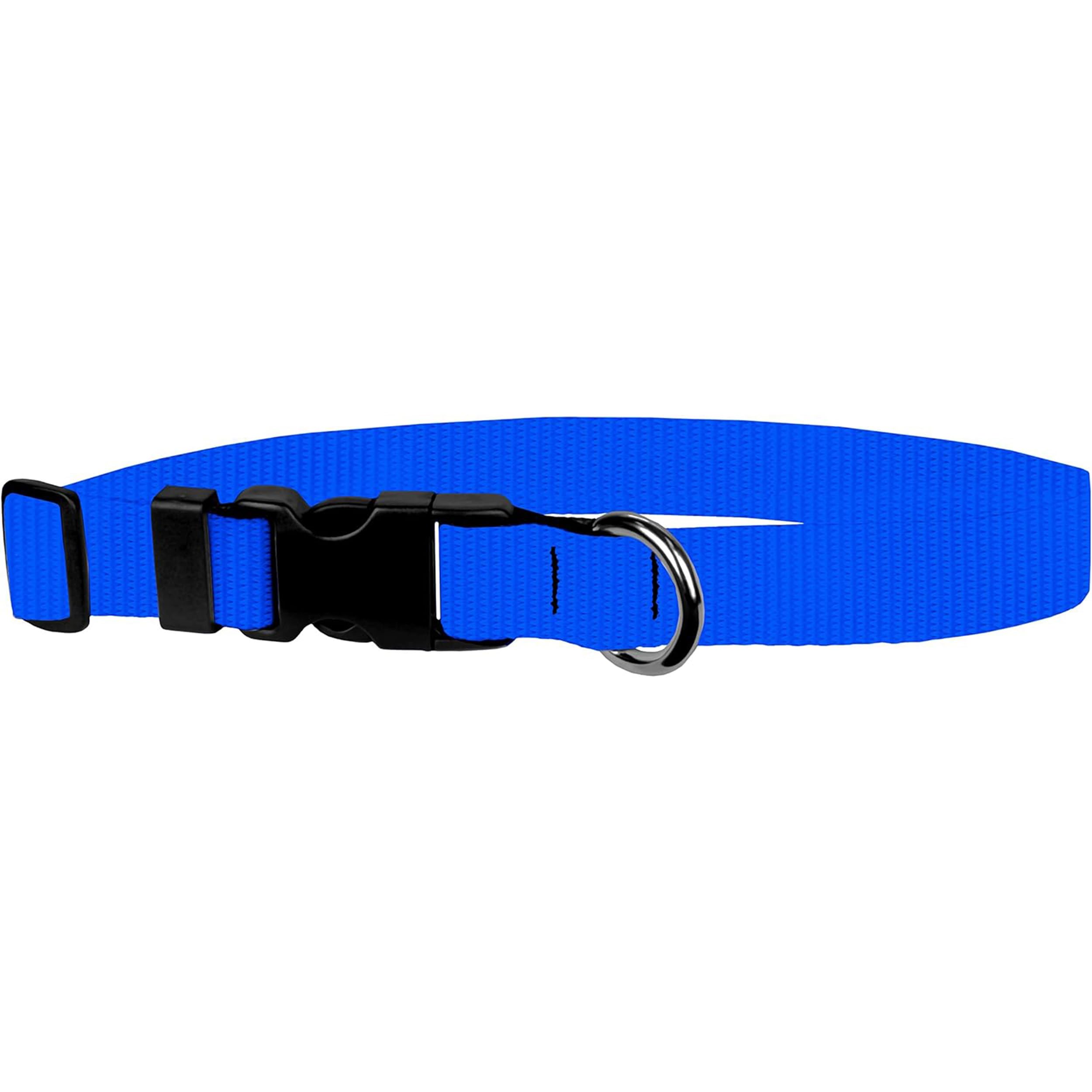 Dog Collar - Colored Adjustable Pet Collars, 1 Inch Wide, Medium, Pacific Blue