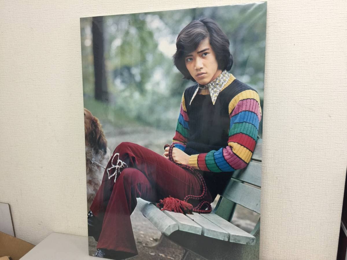 Amazon.co.jp: 昭和レトロ 野口五郎 ポスターパネル 2点セット 当時物 