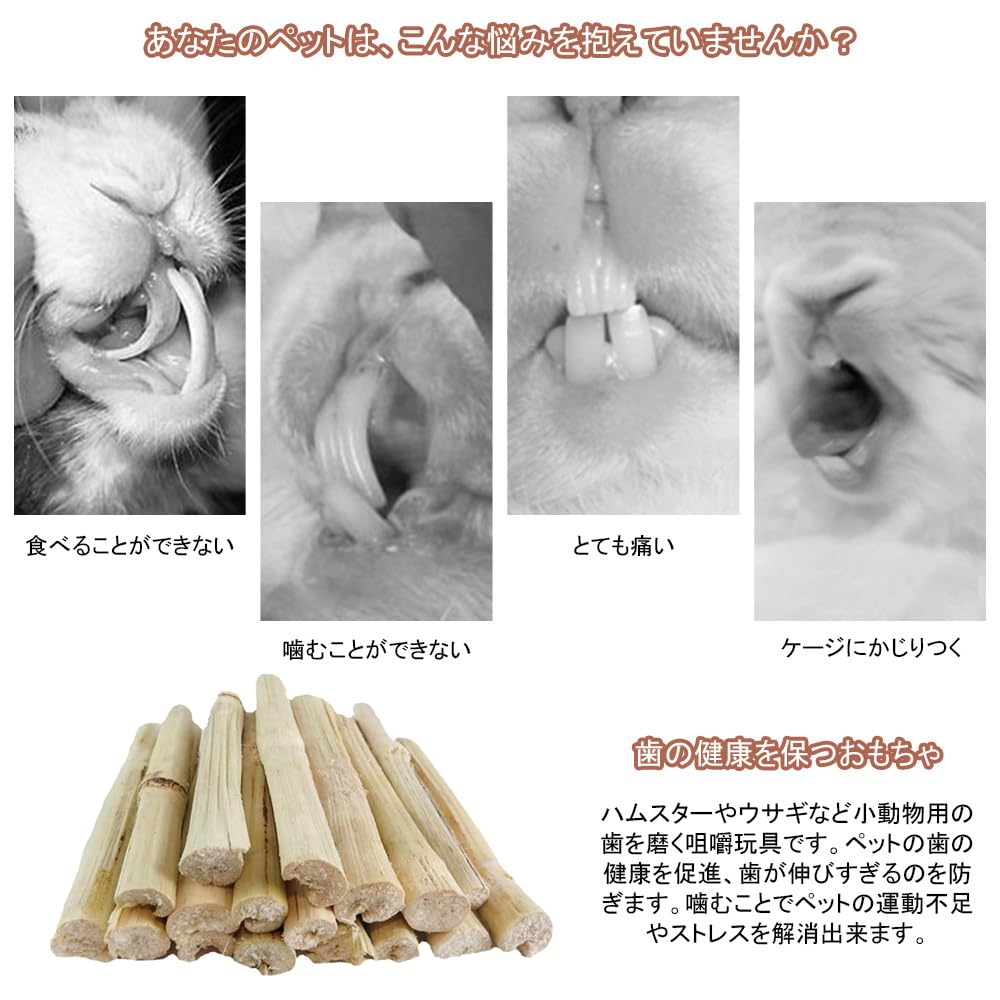 Amazon.co.jp: YIBOOOM 100g入りサトウキビの竹 うさぎ おもちゃ