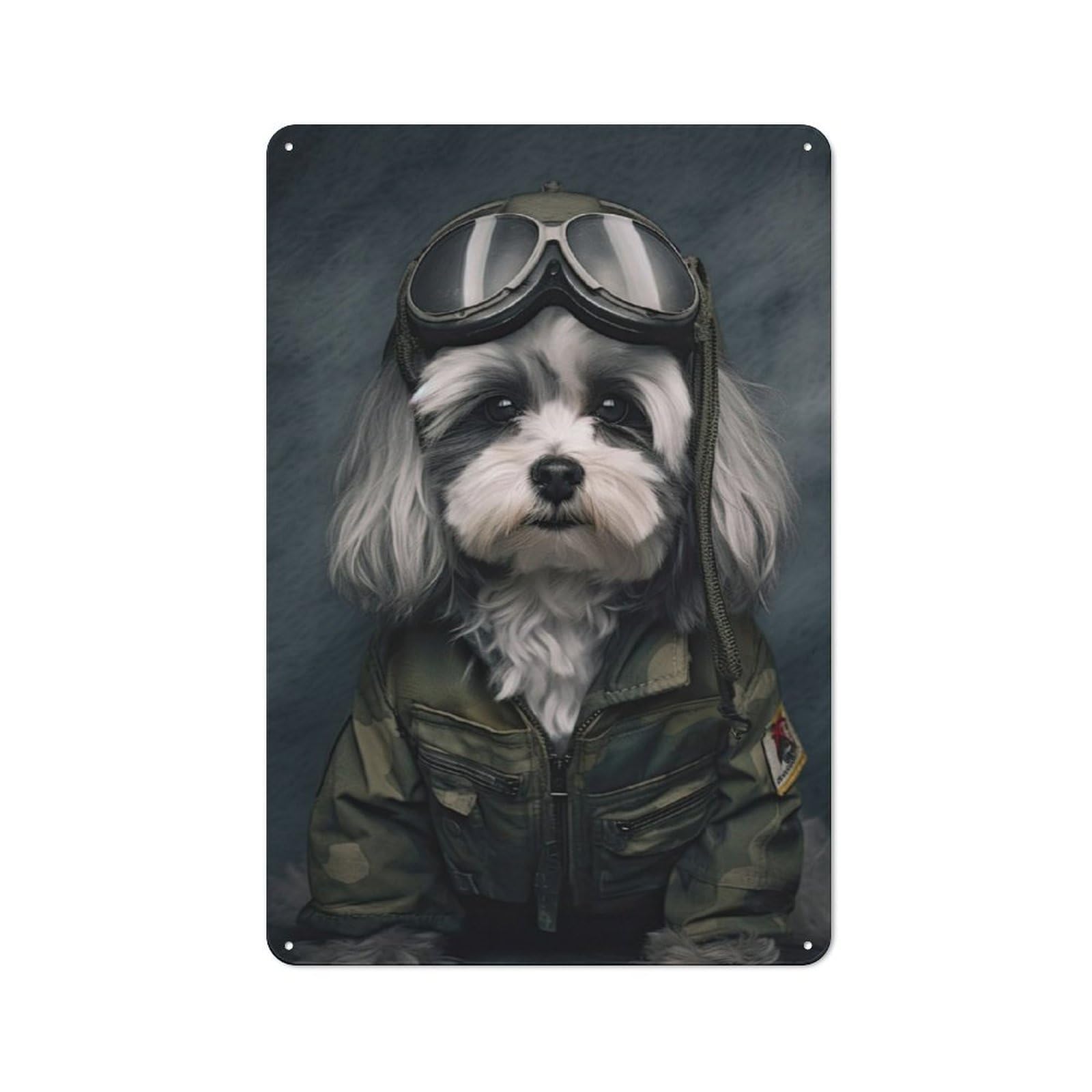 Metal Plaque 30x20cm with Havanese Soldier for Hallway Wall, Retro Decor, for Wall Display Collectors