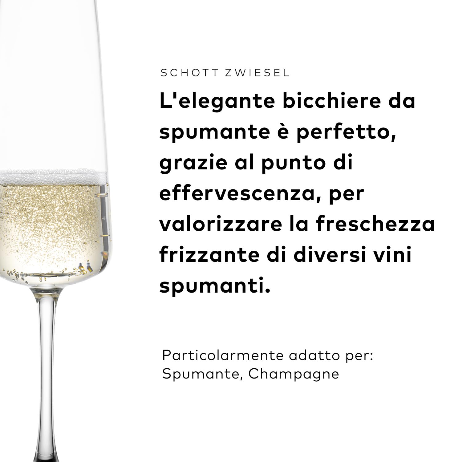 SCHOTT ZWIESEL Set di bicchieri MioVino (set iniziale da 12), moderni bicchieri da vino e da champagne in un set, bicchieri in cristallo Tritan lavabili in lavastoviglie, Made in Germany (art. 124072)