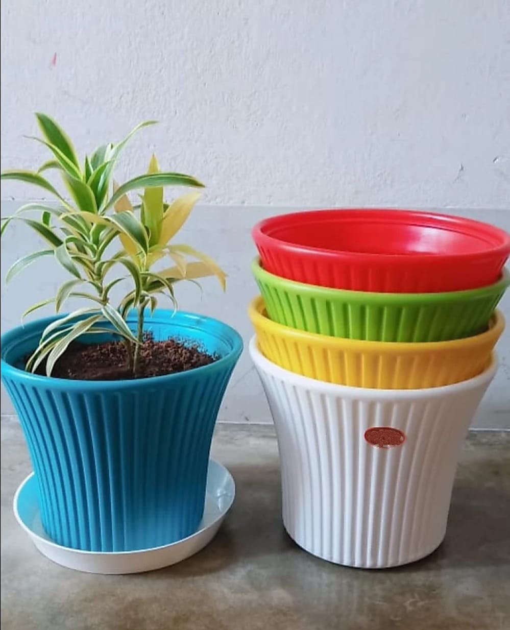 See full amazon price history chart for Plastic Plant Flower Pots For Plants 7 Inch | Balcony Plant Pot | Gamle For Plants | Garden Container For Plants - Multicolor Plastic Plant Flower Pots For Plants 7 Inch | Balcony Plant Pot | Gamle For Plants | Garden Container For Plants - Multicolor (B0BF1CY6Q1) Amazon Price History, Amazon Price Tracker