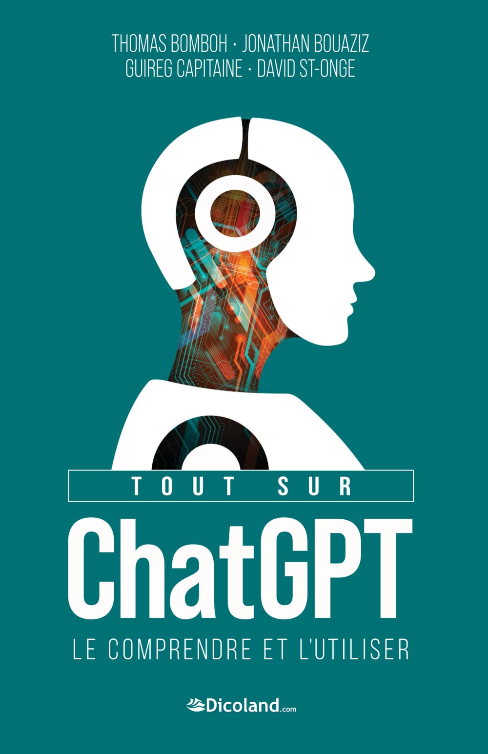 Dicoland Tout sur ChatGPT le comprendre et l'utiliser